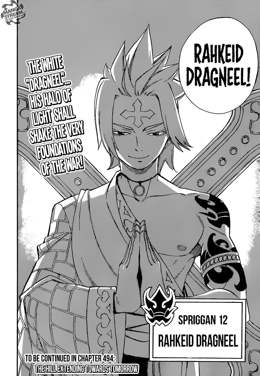 Fairy Tail Chapter 493 23